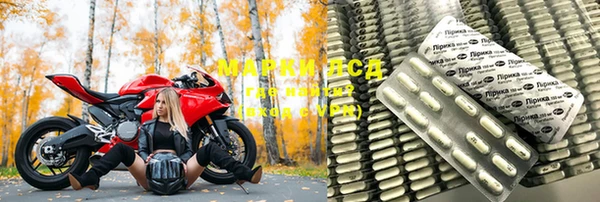 трава Медвежьегорск