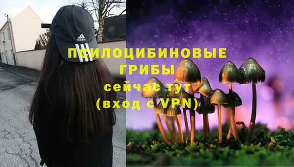гидропоника Майский