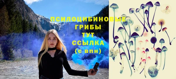 спайс Мегион