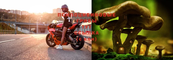 спайс Мегион