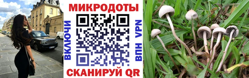 Купить где  Харабали  Псилоцибиновые грибы GOLDEN TEACHER 