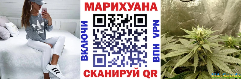 Бошки марихуана конопля Харабали